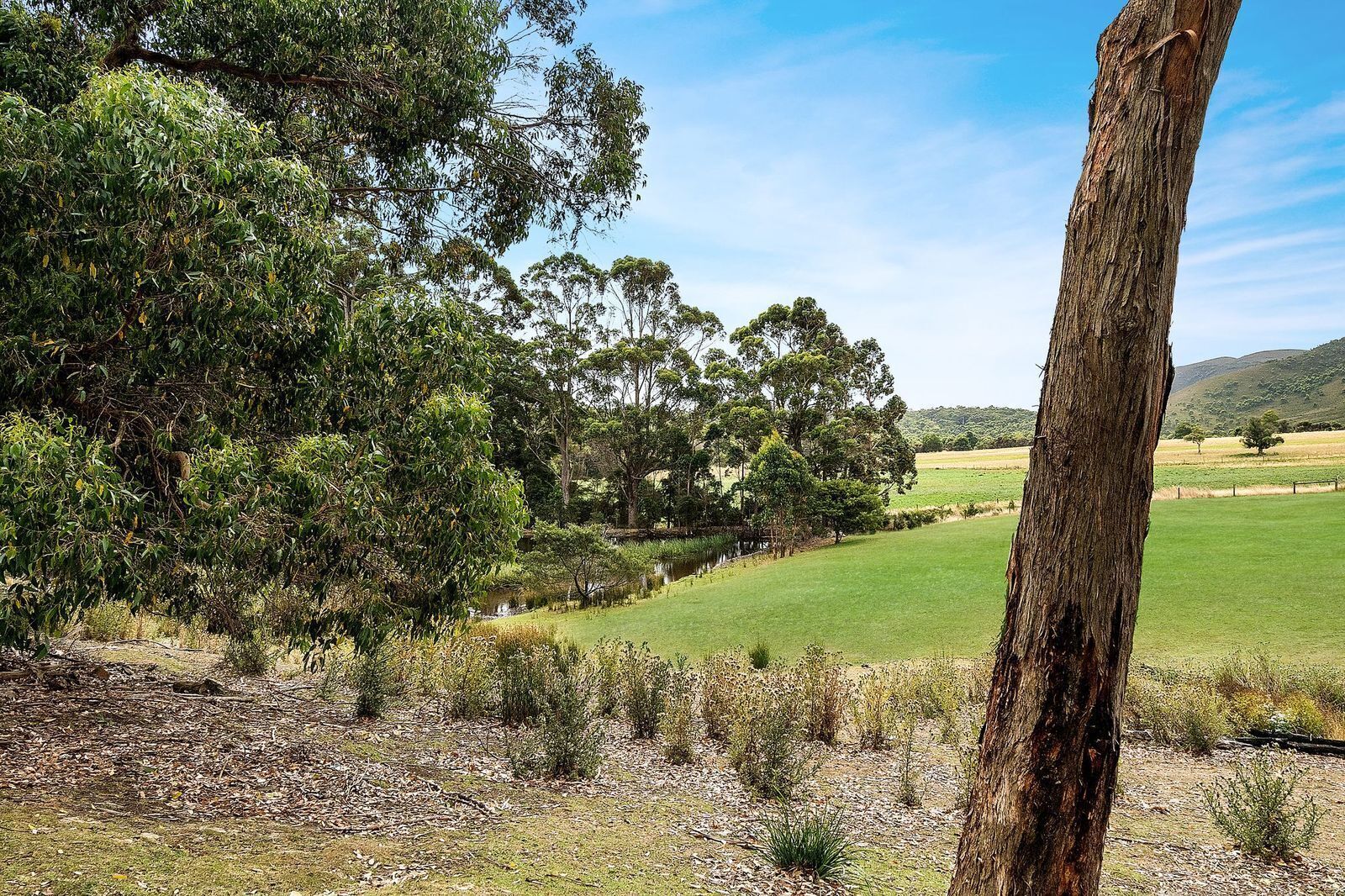 The Ultimate Family Farm Stay | Sleeps 10 @ Rocky Cape — image 27