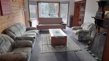 TV, fireplace, DVD player, books