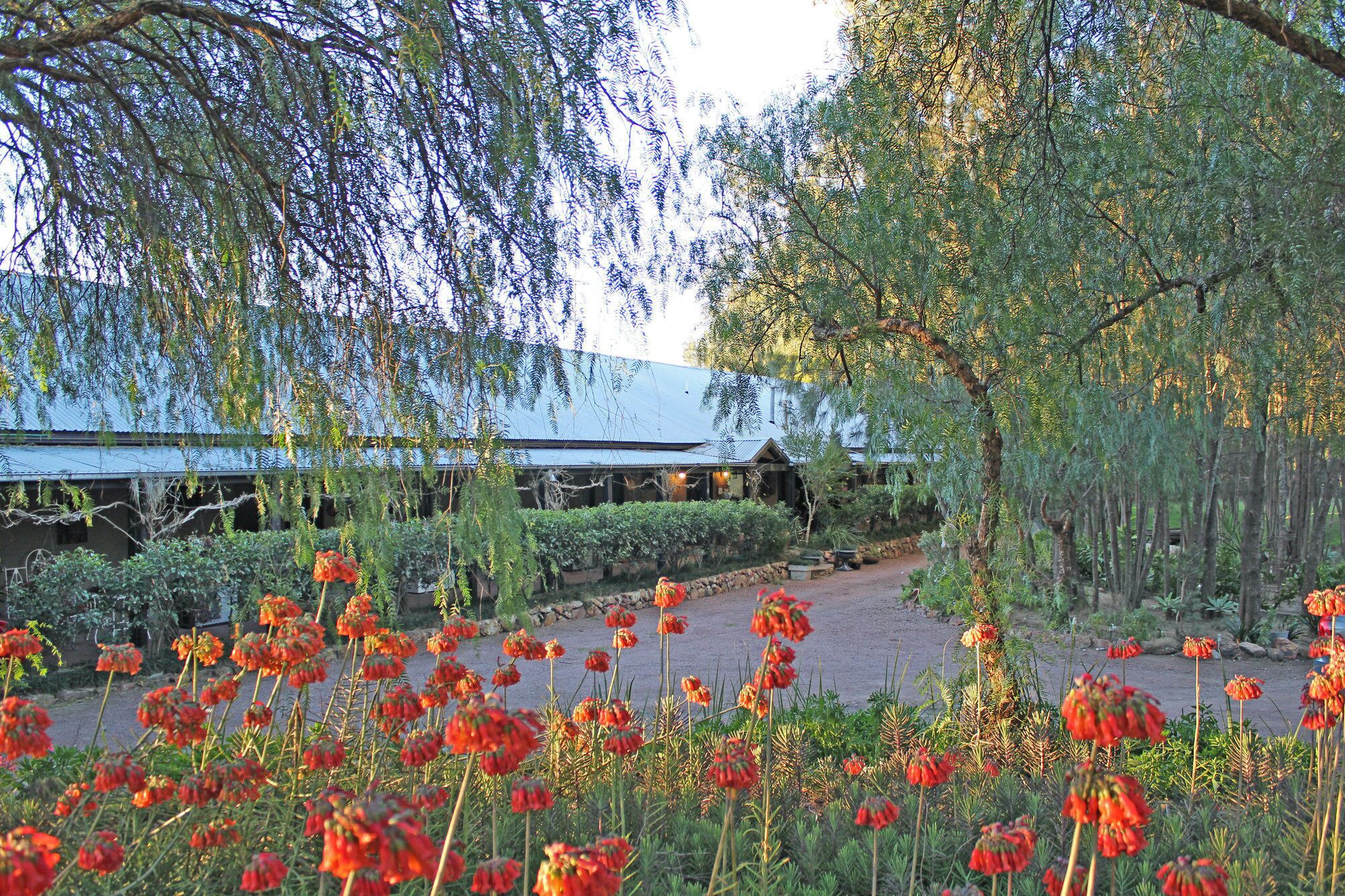 المنطقة المحيطة بالمنشأة