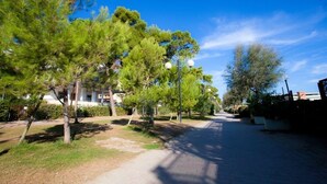 A paved pathway lined with trees and street lamps, leading towards a building with a white facade. - Pinetina Di Paolo - Second floor apartment, directly on the sea (Pineto)