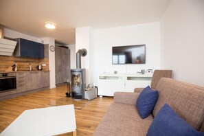 Télévision, cheminée, chaîne hi-fi