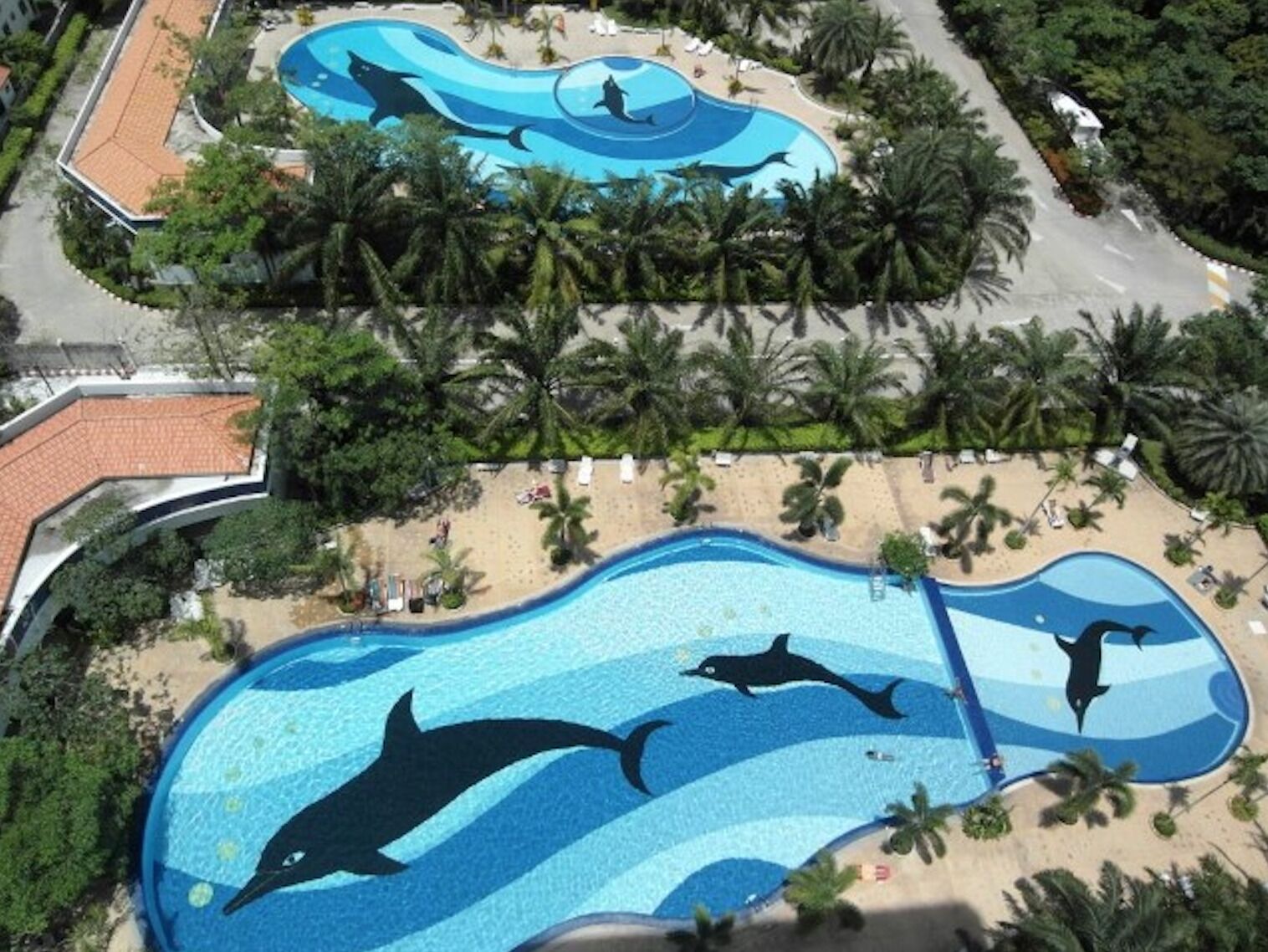 Ein Schwimmbecken mit Delfin-Wandmalereien, umgeben von Palmen und einem Strandbereich.