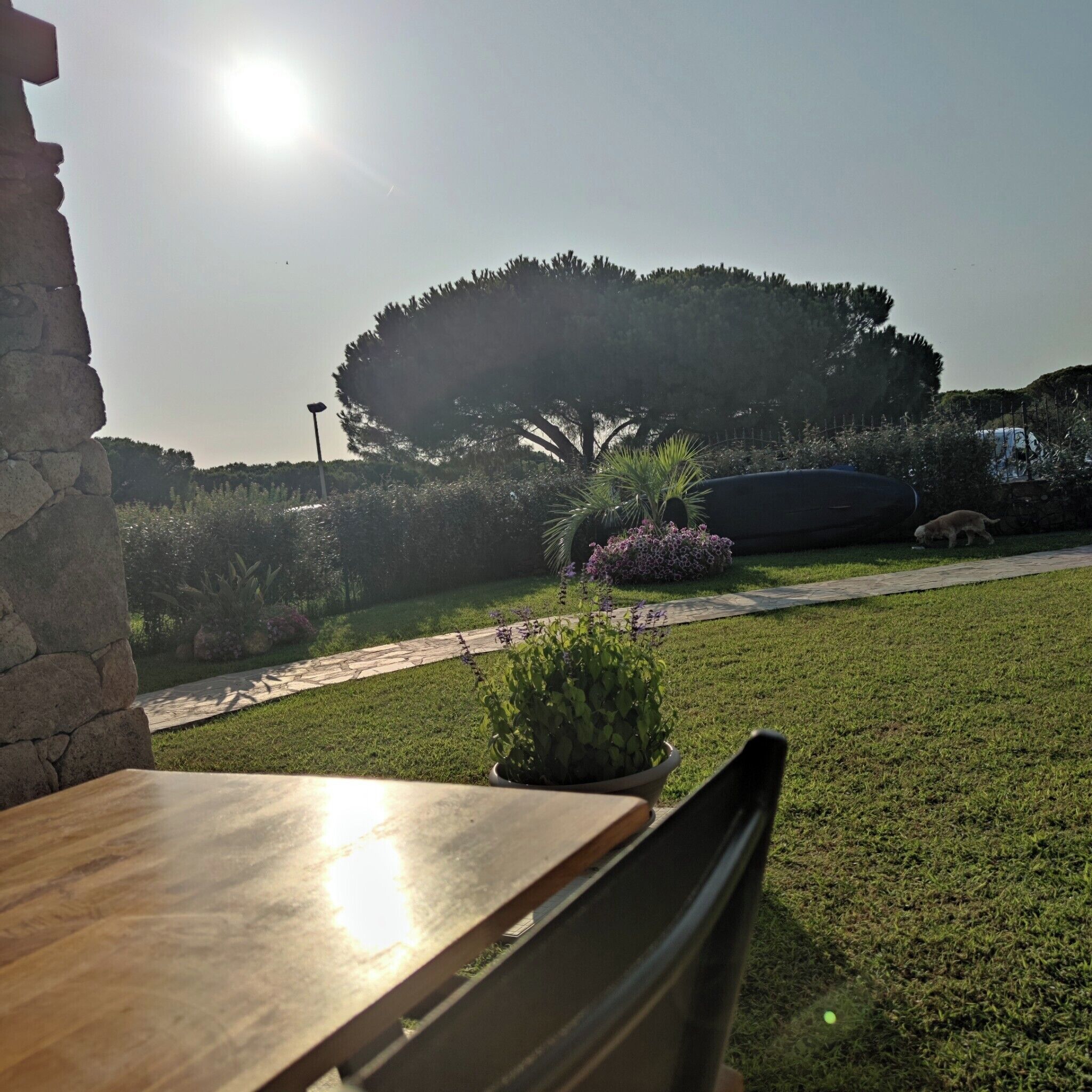 Restaurante al aire libre