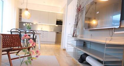 Luxury Business 2 Rooms Apartment up to 3 People By City Living