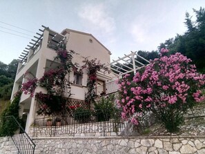 Exterior - Villa Elissavet - Kalami Bay - Family Pool House (Corfu)