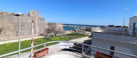 House, 1 Bedroom, Balcony, City View | Property grounds