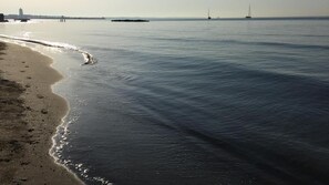 해변