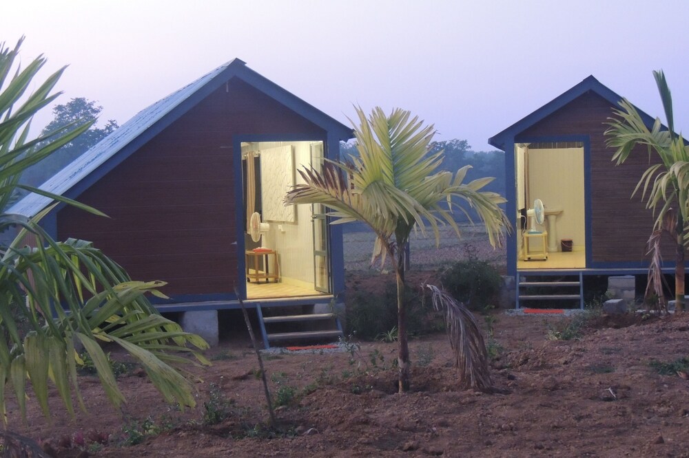 Dandeli - Aura Jungle Stay - Campsite