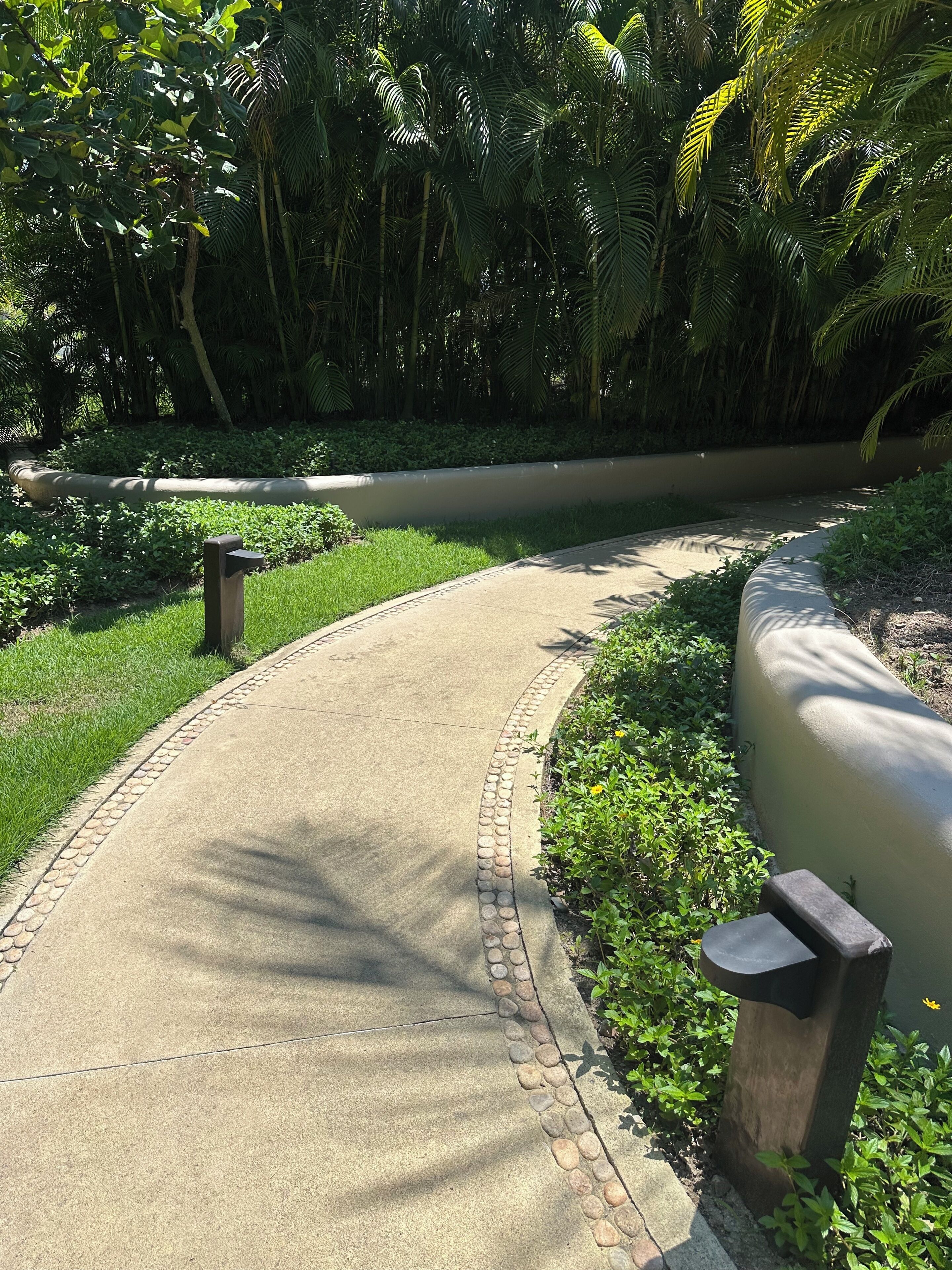 A curved concrete pathway bordered by a stone edge, surrounded by lush greenery and a water feature.