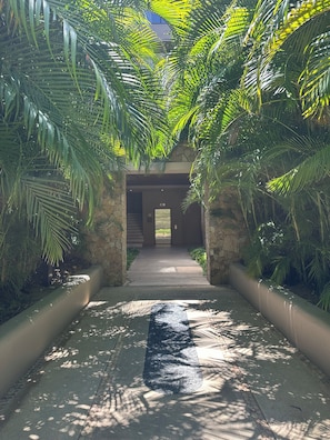 A pathway leading to a building entrance, surrounded by lush green foliage.