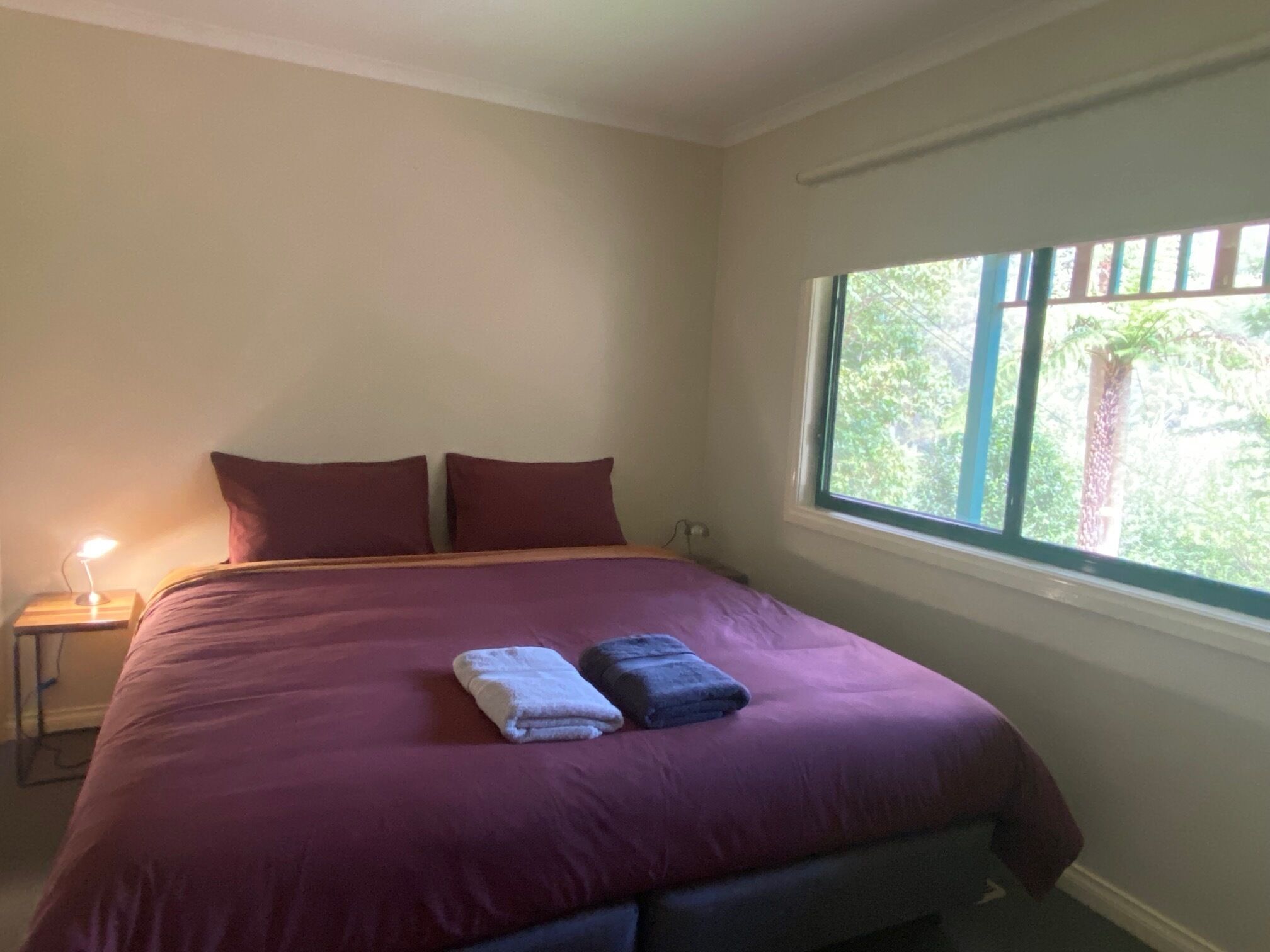 Trail View Warburton