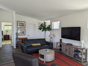 Smart TV, fireplace, computer monitors