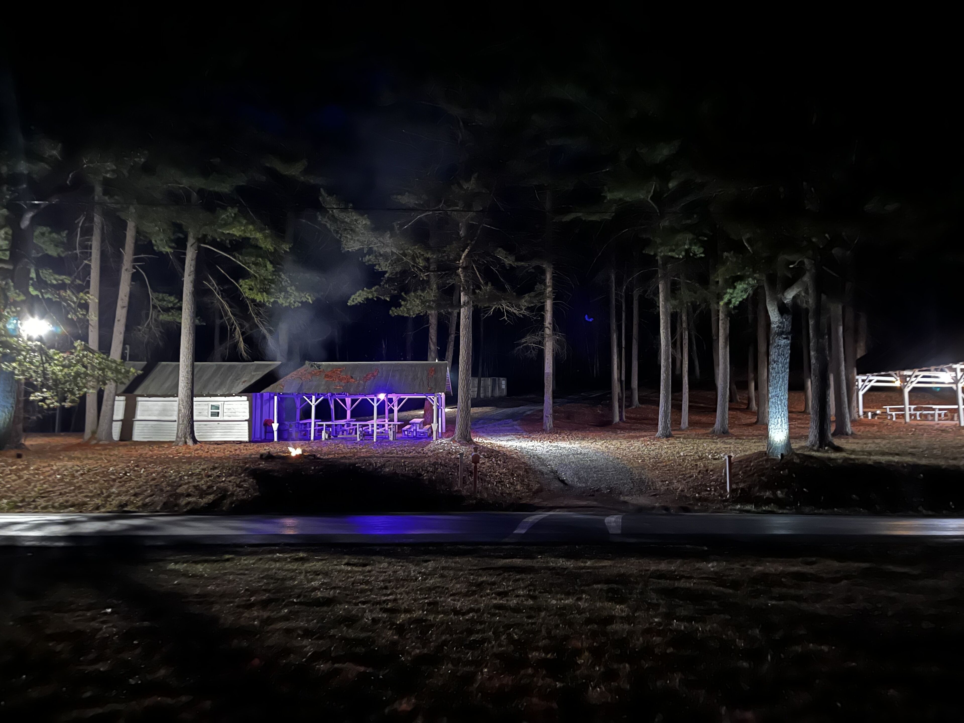 (The Green Tree Grove)