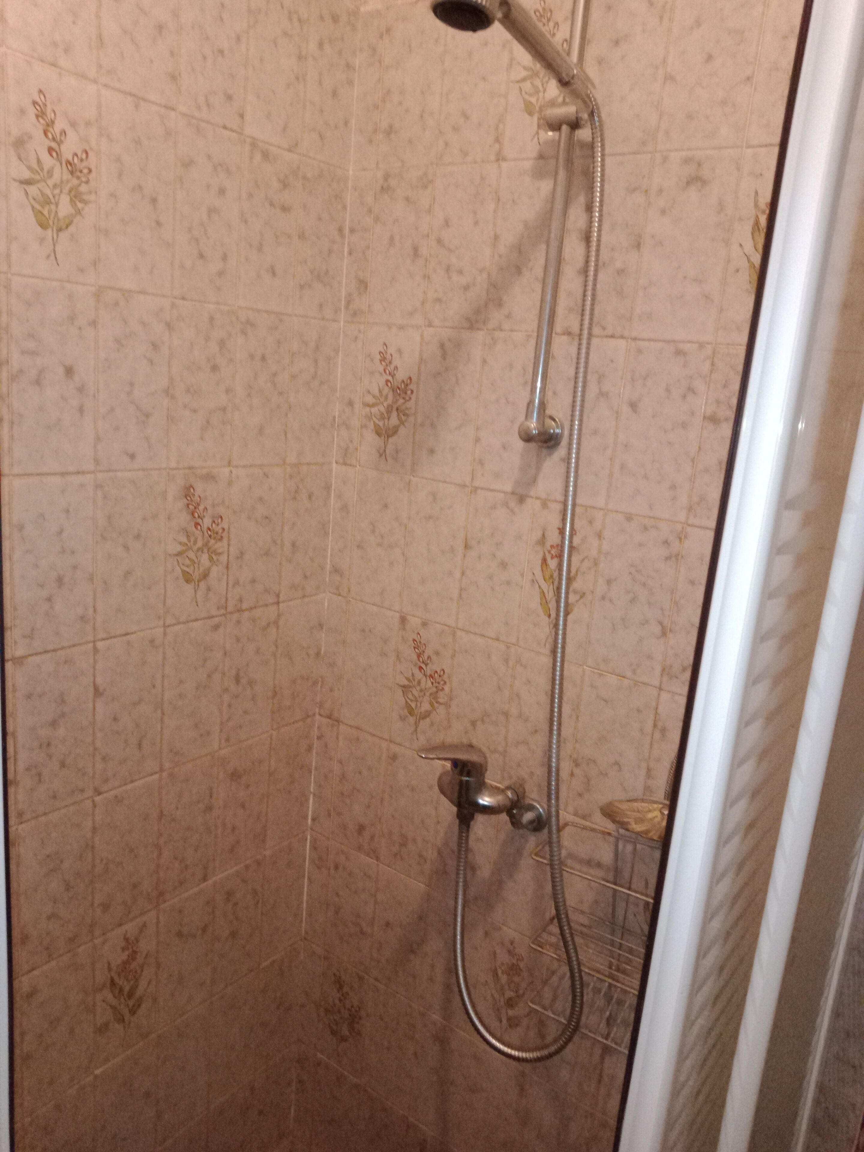 A shower with a handheld showerhead and a fixed showerhead, both mounted on a wall with floral tile patterns.