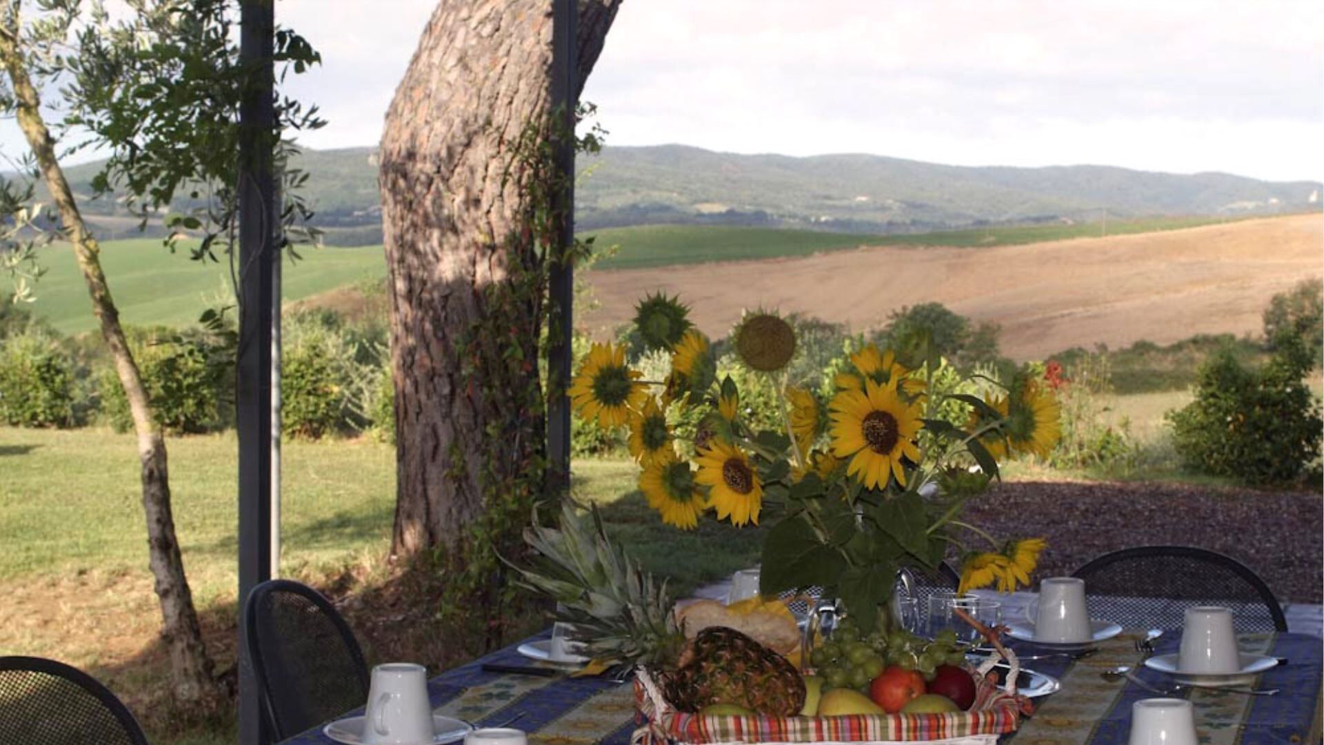 Ristorazione all'aperto