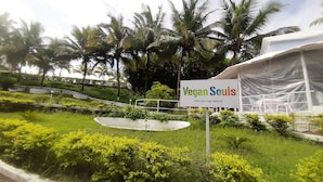 A sign for 'Vegan Souls' with a slogan 'Right Food is Right Medicine'. - Wanderlust Resort (Akola)