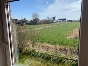 Imagen sin descripción, 3 de 11, botón