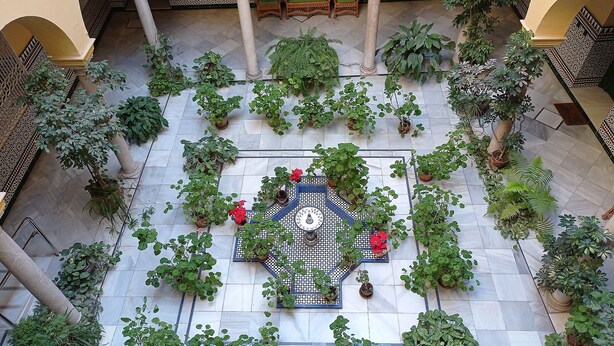 Une cour avec un sol carrelé, des plantes en pot et un motif décoratif central en mosaïque.