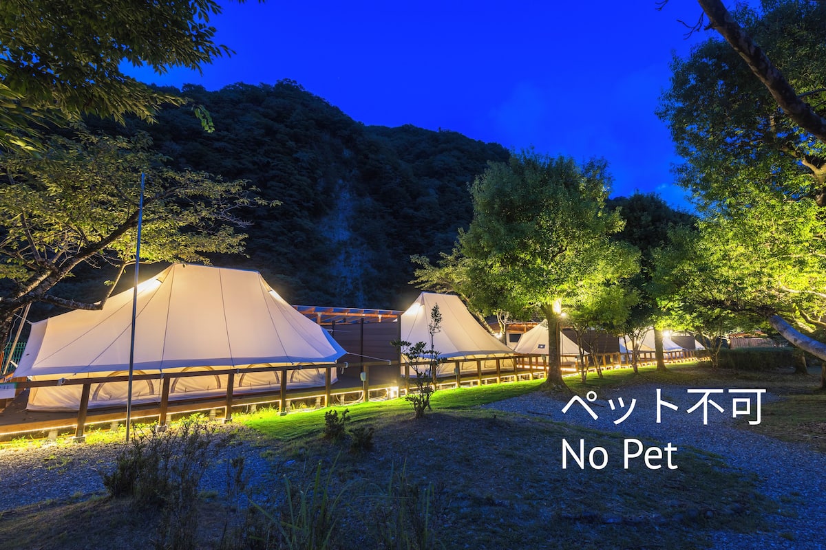 Een camping met tenten en een bord waarop staat 'Geen huisdieren toegestaan'.