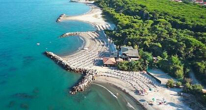 Apartment in Tuscany near Beaches & Nature