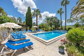 A swimming pool with blue lounge chairs and umbrellas, surrounded by greenery and palm trees. - Quinta das Achadas - Jasmine in Lagos with Shared Pool, Nature & Breakfast (Lagos)