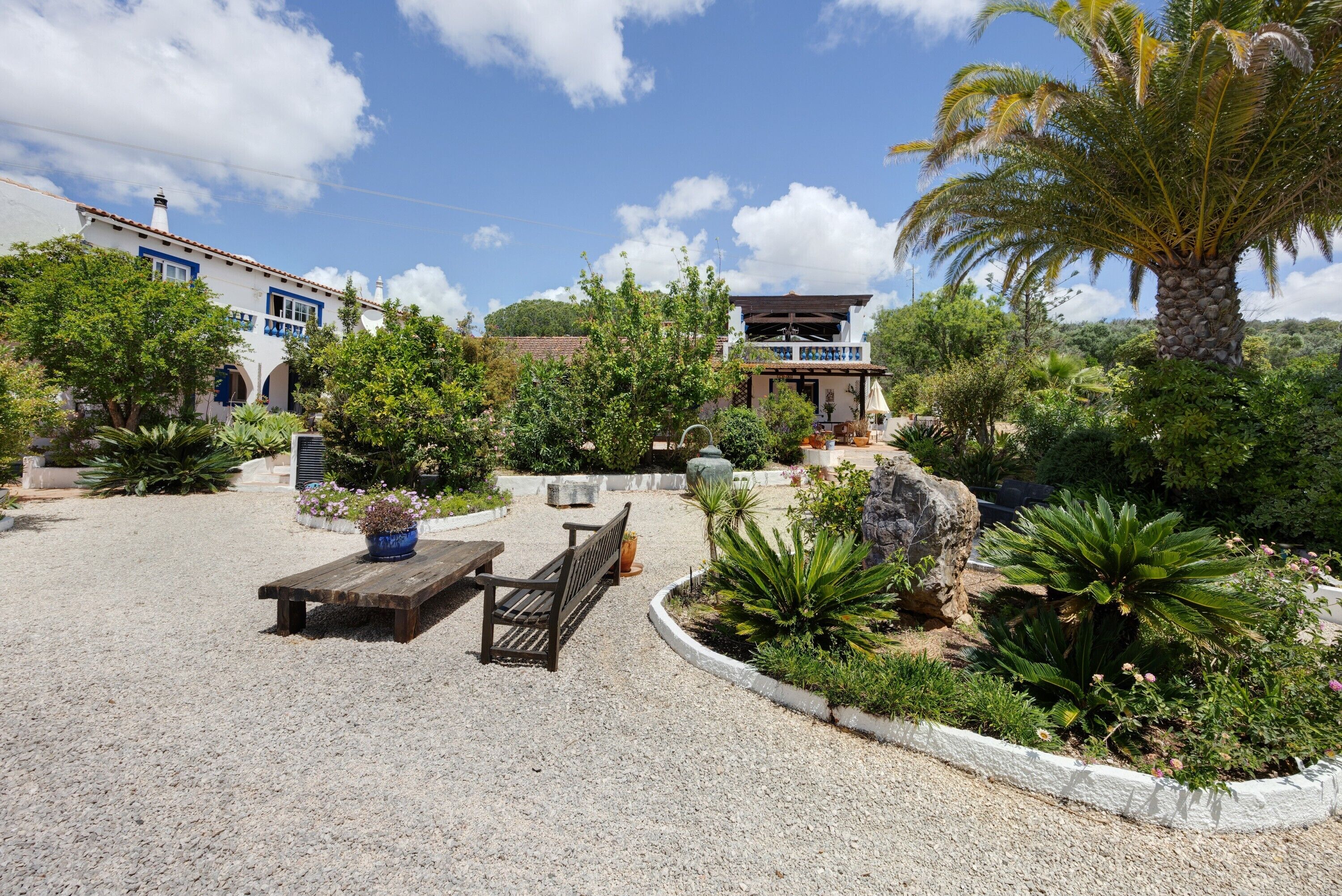 A courtyard with a wooden bench, a palm tree, and a building with a tiled roof.
