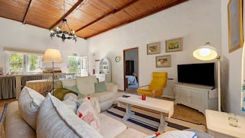 TV, tavolo da ping pong