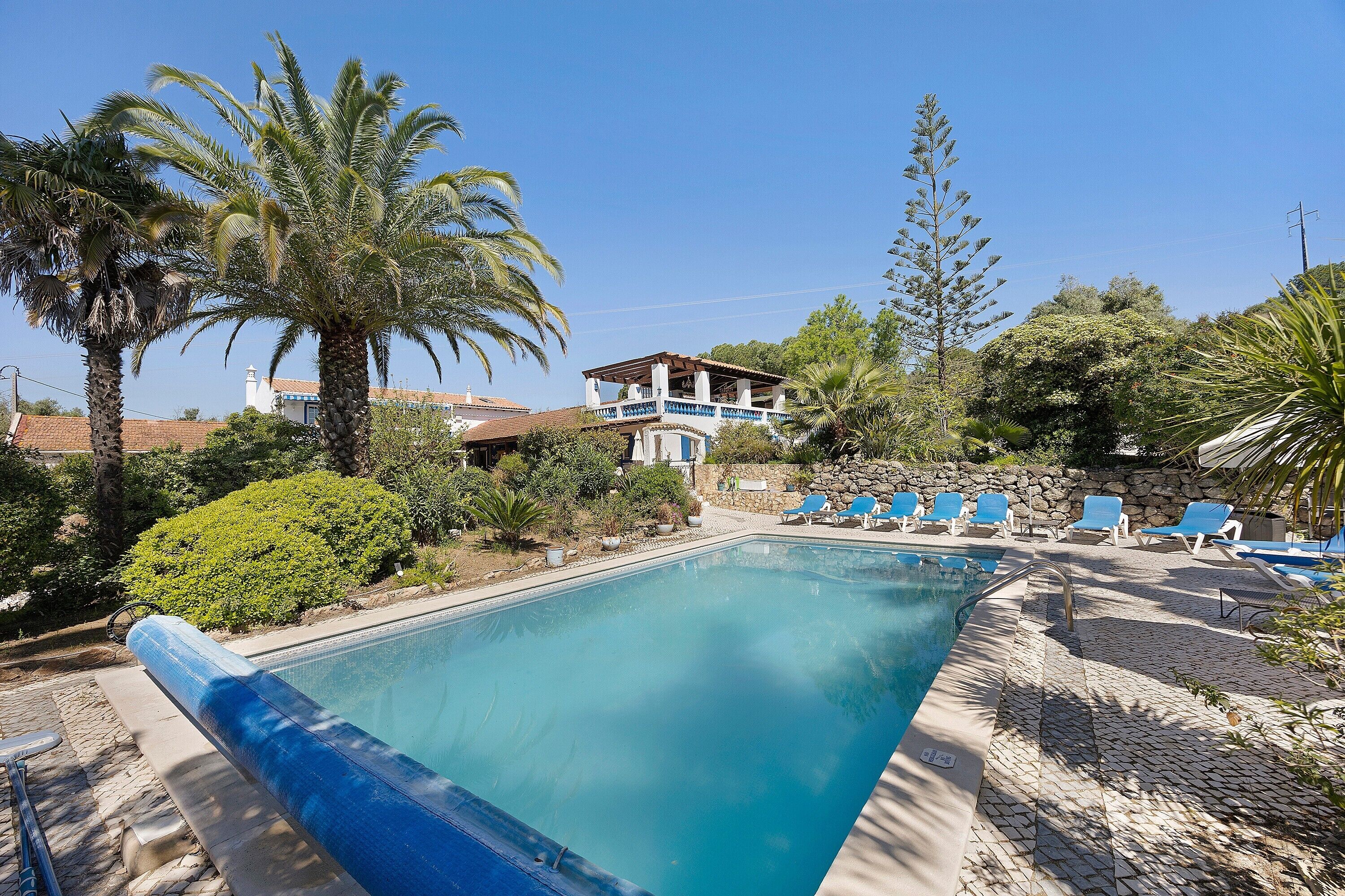 A swimming pool with lounge chairs, palm trees, and a house in the background.