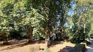 A serene outdoor area with trees, a stone bench, and a picnic table. - Gîte "Manoir" with garden by the river, near Clisson (Gétigné)