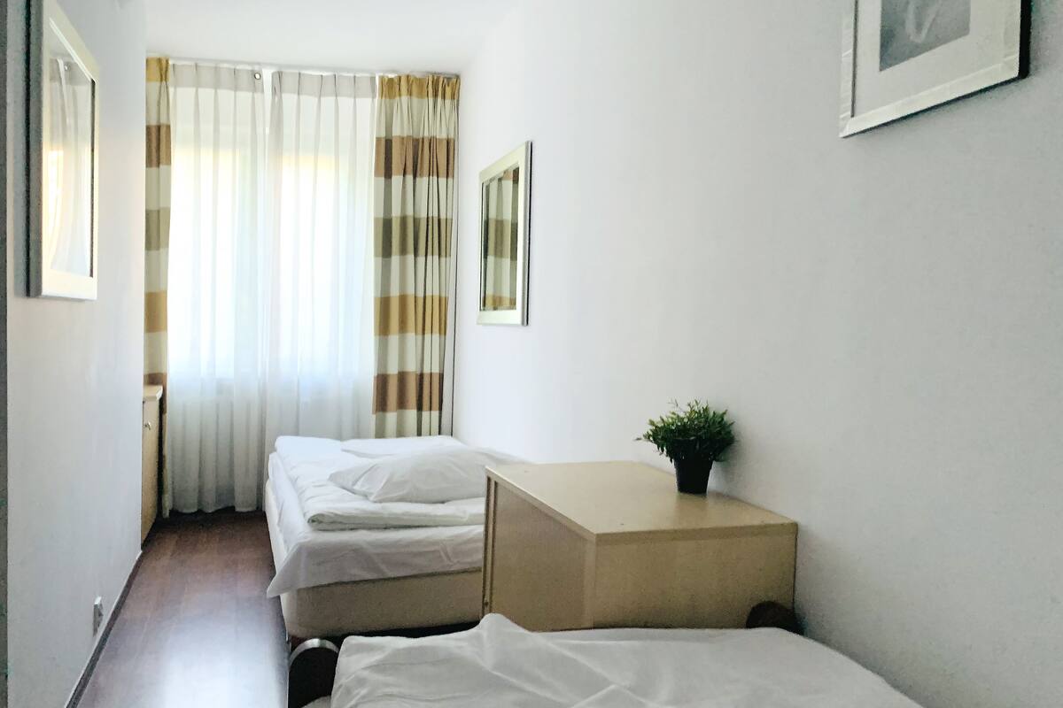 Habitación de hotel con dos camas individuales, una mesita de noche con una planta, una ventana con cortinas y un cuadro en la pared.