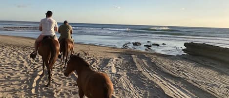 On the beach