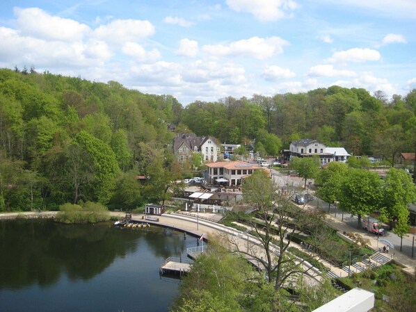 Unclassified image, 1 of 17, button