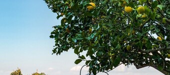 Casa Jasmine with magnificent view