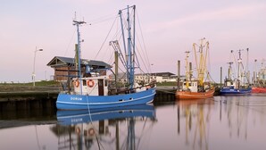 A harbor with several boats docked, including a blue boat named 'DORUM'.