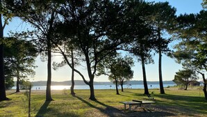 Um parque com um banco, árvores e vista para a água.