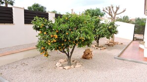 المنطقة المحيطة بالمنشأة