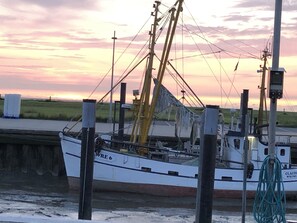 Property grounds - Beautiful holiday apartment near the beach in Wremen (Wurster Nordseeküste)