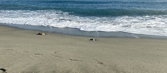 Enchanting villa in the Ligurian National Park