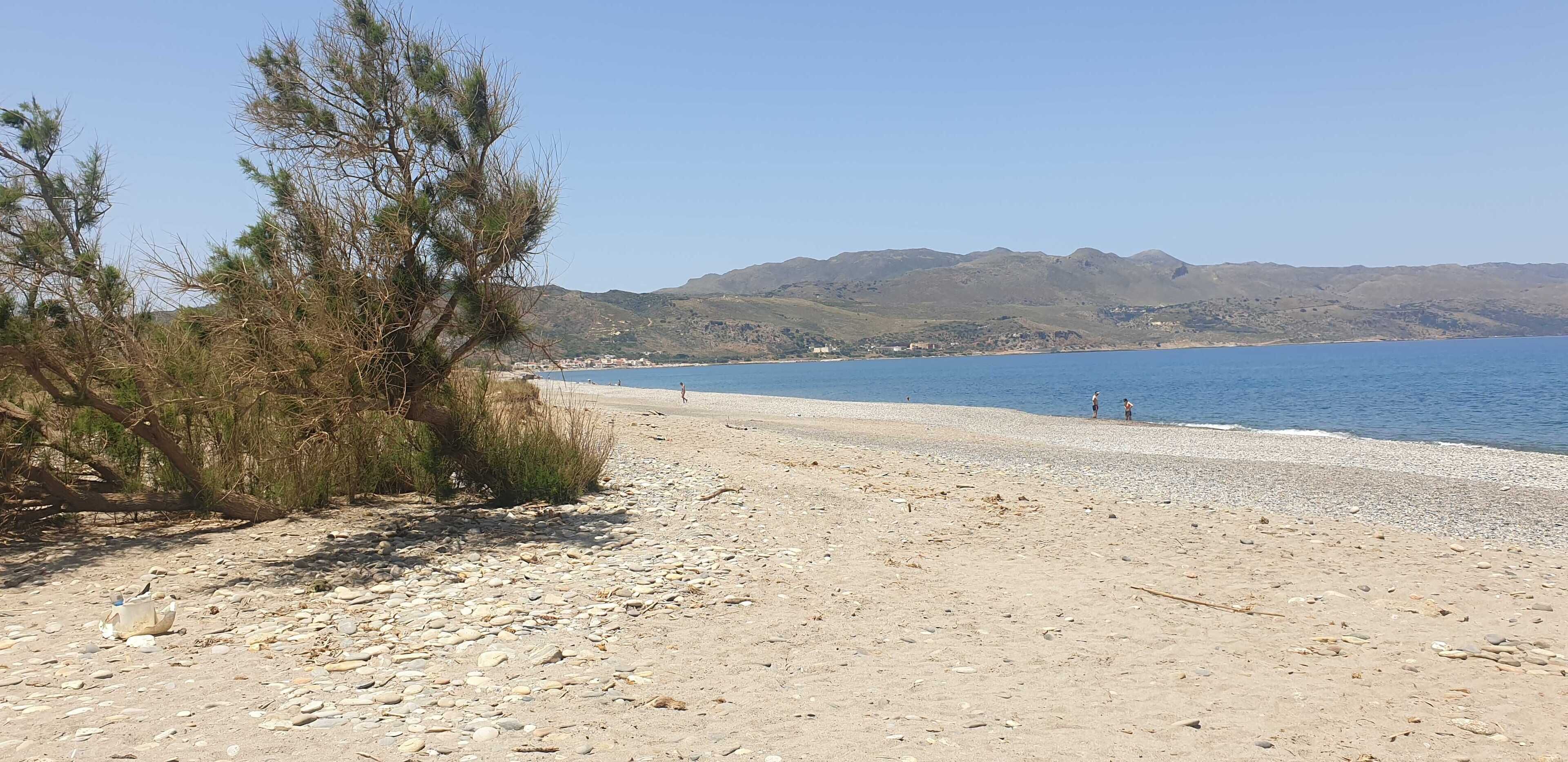 Plage à proximité, sable blanc, bar de plage