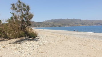 Plage à proximité, sable blanc, bar de plage
