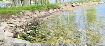 Sweet 2BRM + 1BATH COTTAGE with Lake Access + Mooring! FISH! BOAT!