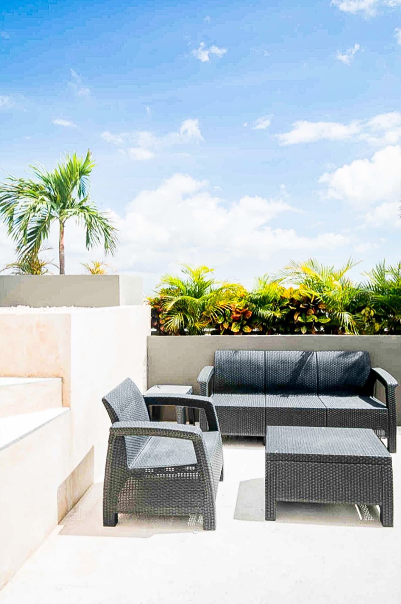 An outdoor patio with wicker furniture, including a sofa and chairs, and a small table. There are palm trees and a variety of plants in the background.