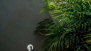 A rooftop pool with a palm tree and a water feature. - Modern Stay - Rooftop Pool - Walk to Beach & 5th (Playa del Carmen)