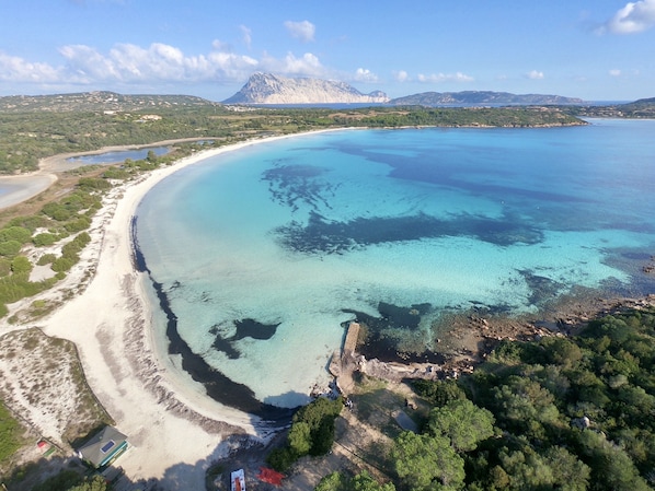 Beach - Domus Pedra trilocali con A.C (San Teodoro)
