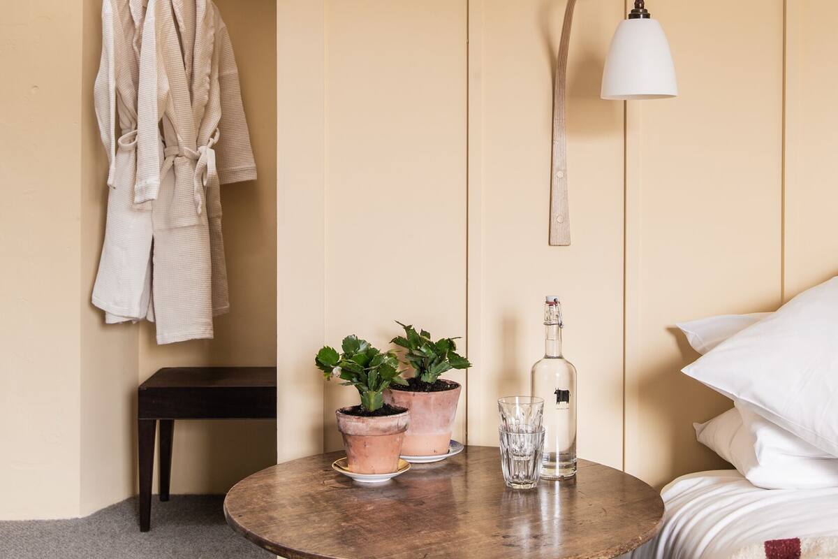 A room with a bed, a bedside table with a lamp, a potted plant, and a bottle.