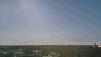 Rooftop Terrace Studio Panoramic View | View from room