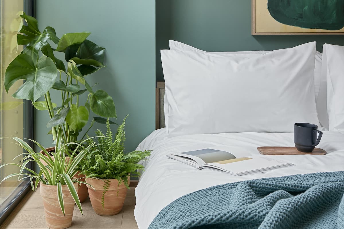 1 chambre, literie de qualité supérieure
