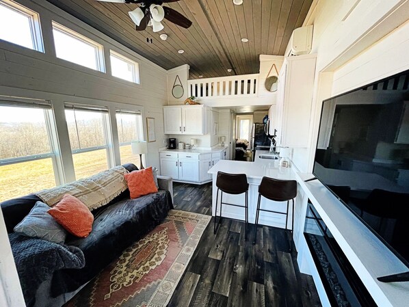 Smart TV, chimenea, videojuegos y reproductor de DVD 