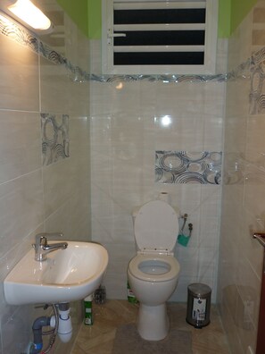 Shower - Apartment (Pointe-Noire)