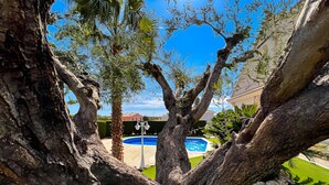 Un árbol con una piscina al fondo.